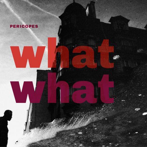 Pericopes - What What (2018)