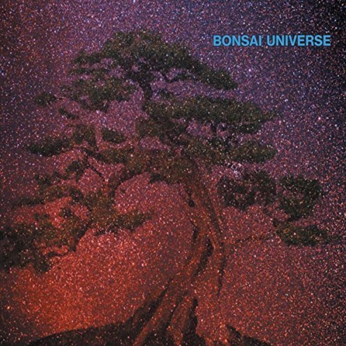 Bonsai Universe - Moonstream (2018)