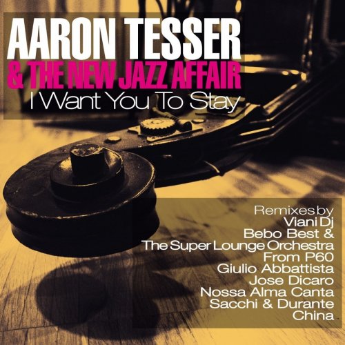 Aaron Tesser & The New Jazz Affair - I Want You To Stay (2013) FLAC