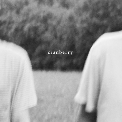 Hovvdy - Cranberry (2018)