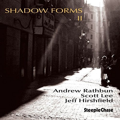 Andrew Rathbun - Shadow Forms II (2013)
