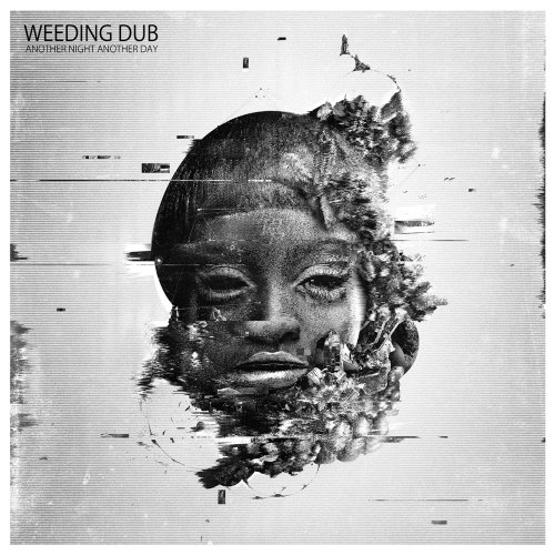 Weeding Dub - Another Night Another Day (2018) [Hi-Res]