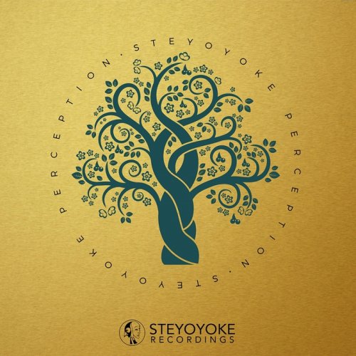 VA - Steyoyoke Perception, Vol. 02 (2018)