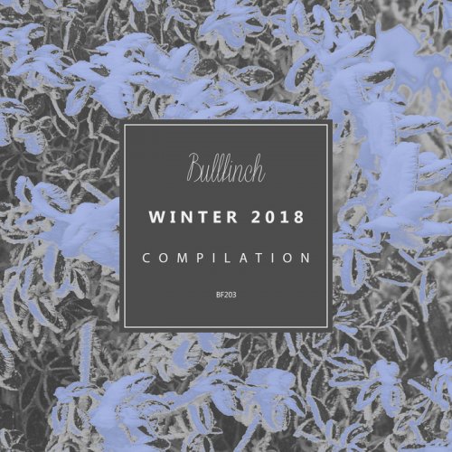VA - Bullfinch Winter 2018 (2018)