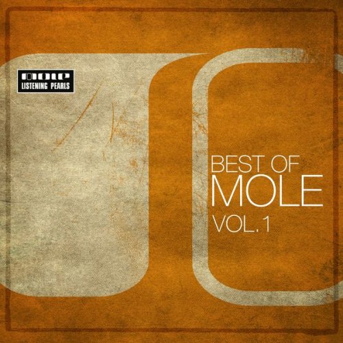 VA - Best Of Mole Vol. 1 - 1998-2003 (2015) flac