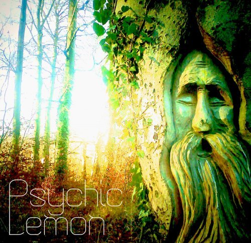 Psychic Lemon - Psychic Lemon (2016) [CD-Rip]