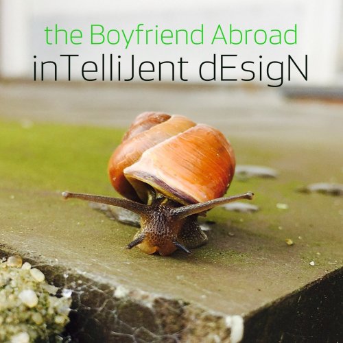 The Boyfriend Abroad - InTelliJent DEsigN (2018)