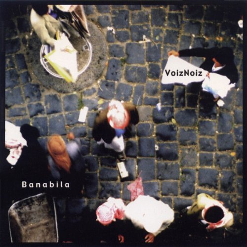 Banabila - VoizNoiz (2000) FLAC