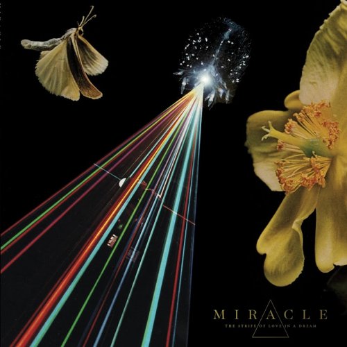 Miracle - The Strife of Love in a Dream (2018)