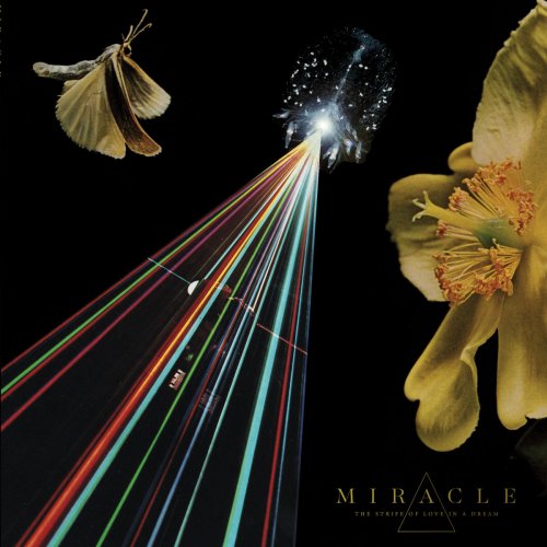 Miracle - The Strife of Love in a Dream (2018) [Hi-Res]