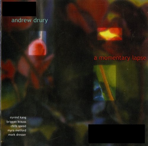 Andrew Drury - A Momentary Lapse (2003)