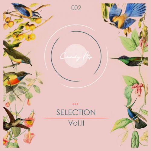 VA - Candy Flip Presents Selection Vol 2 (2018)