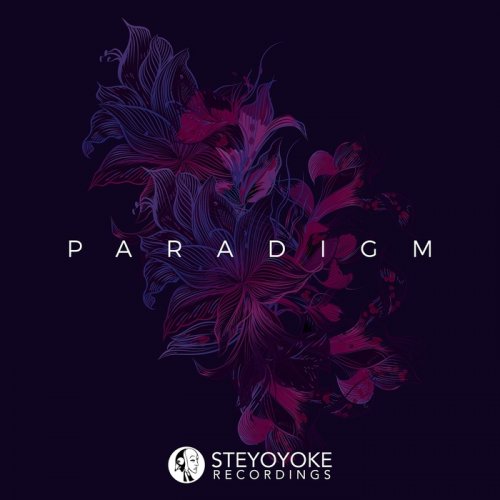 VA - Steyoyoke Paradigm, Vol. 02 (2018)