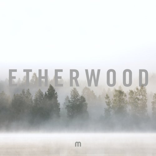 Etherwood - In Stillness (2018)