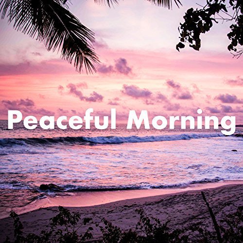VA - Peaceful Morning (2018)