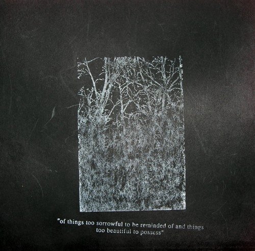 Badgerlore - Of Things Too Sorrowful To Be Reminded Of And Things Too Beautiful To Possess (2004)