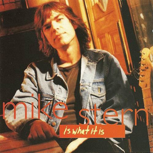 Mike Stern - Is What It Is (1994) CD Rip