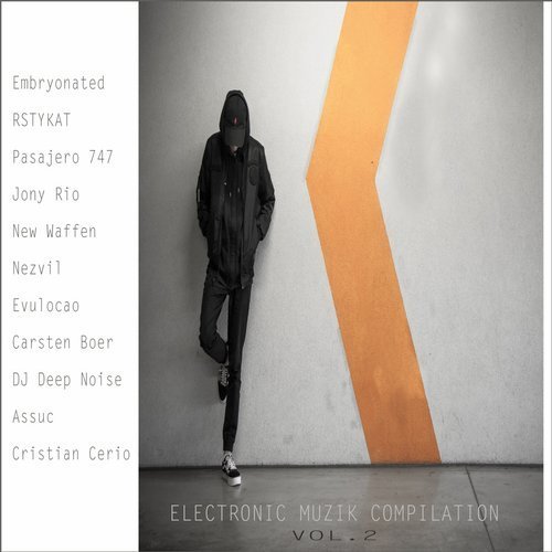 VA - Electronic Muzik Compilation, Vol. 2 (2018)