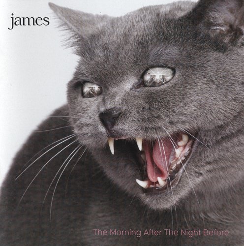 James - The Morning After The Night Before (2010) Lossless
