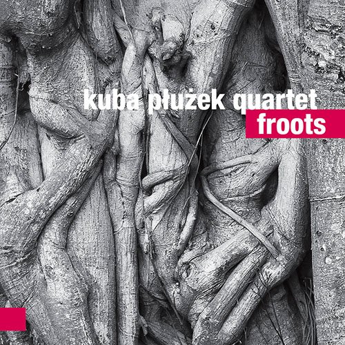 Kuba Pluzek Quartet - Froots (2017)
