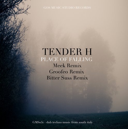 Tender H - PLACE of FALLING (Full Album) (2018)