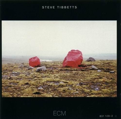 Steve Tibbetts - Exploded View (1986)