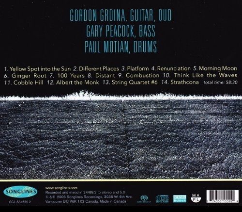 Gordon Grdina, Gary Peacock, Paul Motian - Think Like the Waves (2006) [SACD]