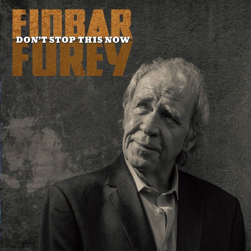 Finbar Furey - Don't Stop This Now (2018)