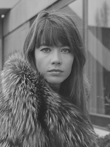 Françoise Hardy - collection (1963-2017) lossless