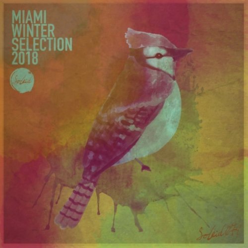 VA - Miami Winter Soleid Selection 2018 (2018)