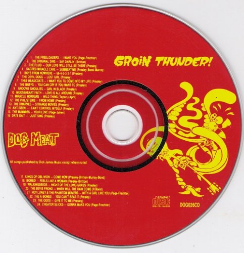 VA - Groin Thunder! (1992)
