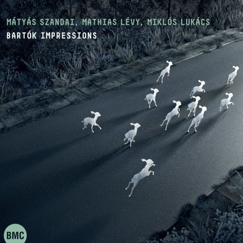 Mátyás Szandai, Mathias Lévy & Miklós Lukács - Bartók Impressions (2018)