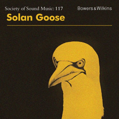 Erland Cooper - Solan Goose (2018) [Hi-Res]