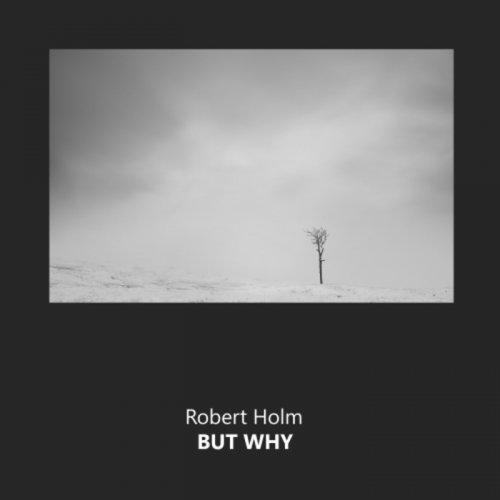 Robert Holm - But Why (2018)