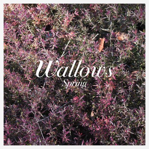 Wallows - Spring EP (2018) [Hi-Res]