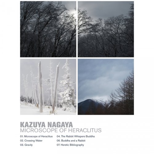 Kazuya Nagaya - Microscope of Heraclitus (2018)