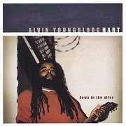 Alvin Youngblood Hart - Down in the Alley (2002)
