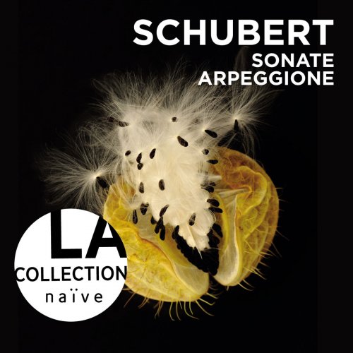Anne Gastinel & Claire Désert - Schubert: Sonate Arpeggione (2013) [Hi-Res]