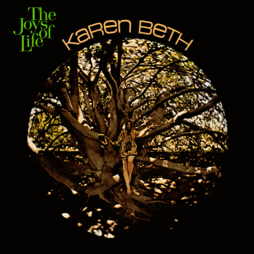 Karen Beth - The Joys Of Life (2011)