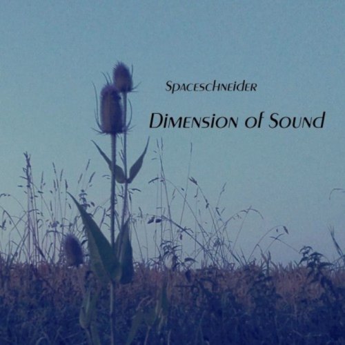 Spaceschneider - Dimension of Sound (2018)