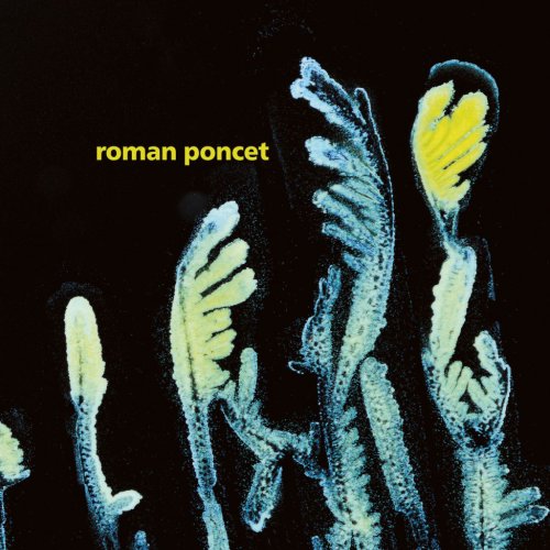 Roman Poncet - Gypsophila (2018)