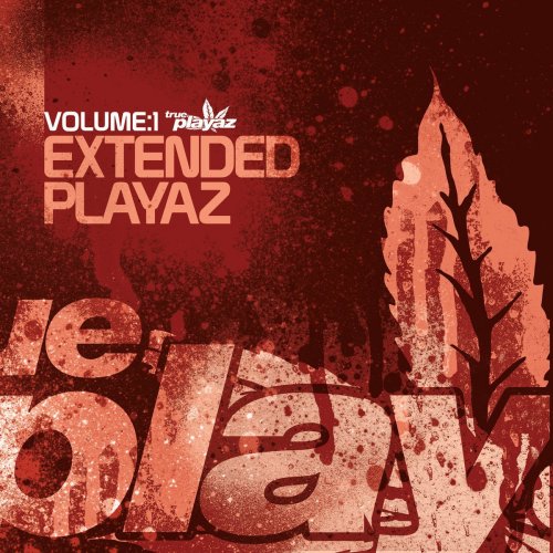 Various Artists - Extended Playaz, Vol. 1 (2004) flac