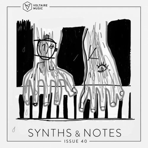 VA - Synths And Notes 40 (2018)