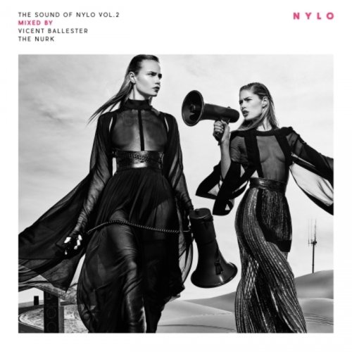 VA - The Sound Of Nylo Vol 2 (2018) FLAC