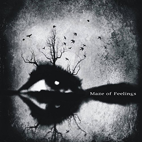 Maze Of Feelings ‎- Maze Of Feelings (2018)