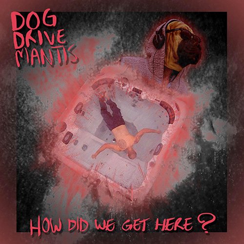 Dog Drive Mantis - How Did We Get Here (2018)