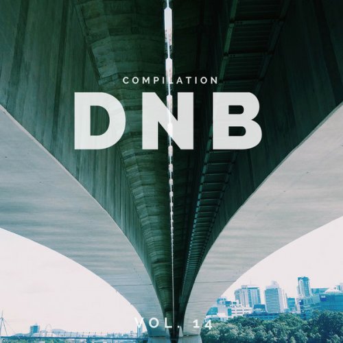 VA - DnB Music Compilation, Vol. 14 (2018) flac