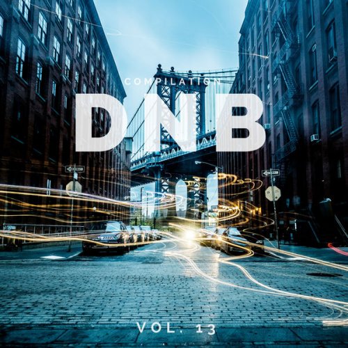 VA - DnB Music Compilation, Vol. 13 (2018) flac