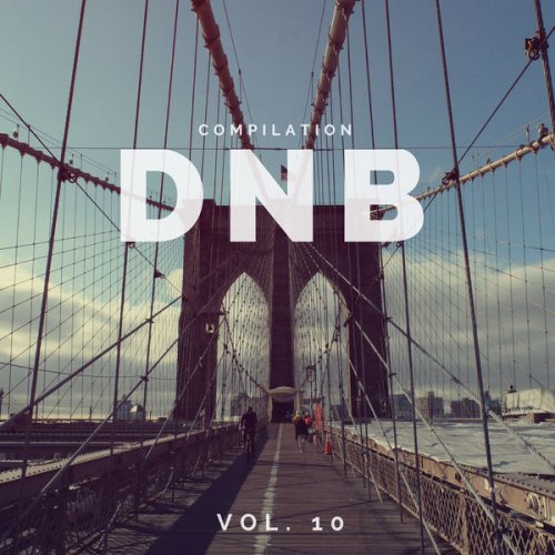 VA - DnB Music Compilation, Vol. 10 (2018) flac