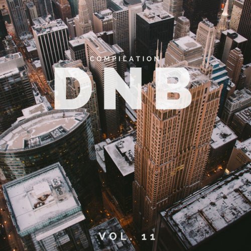 VA - DnB Music Compilation, Vol. 11 (2018) flac